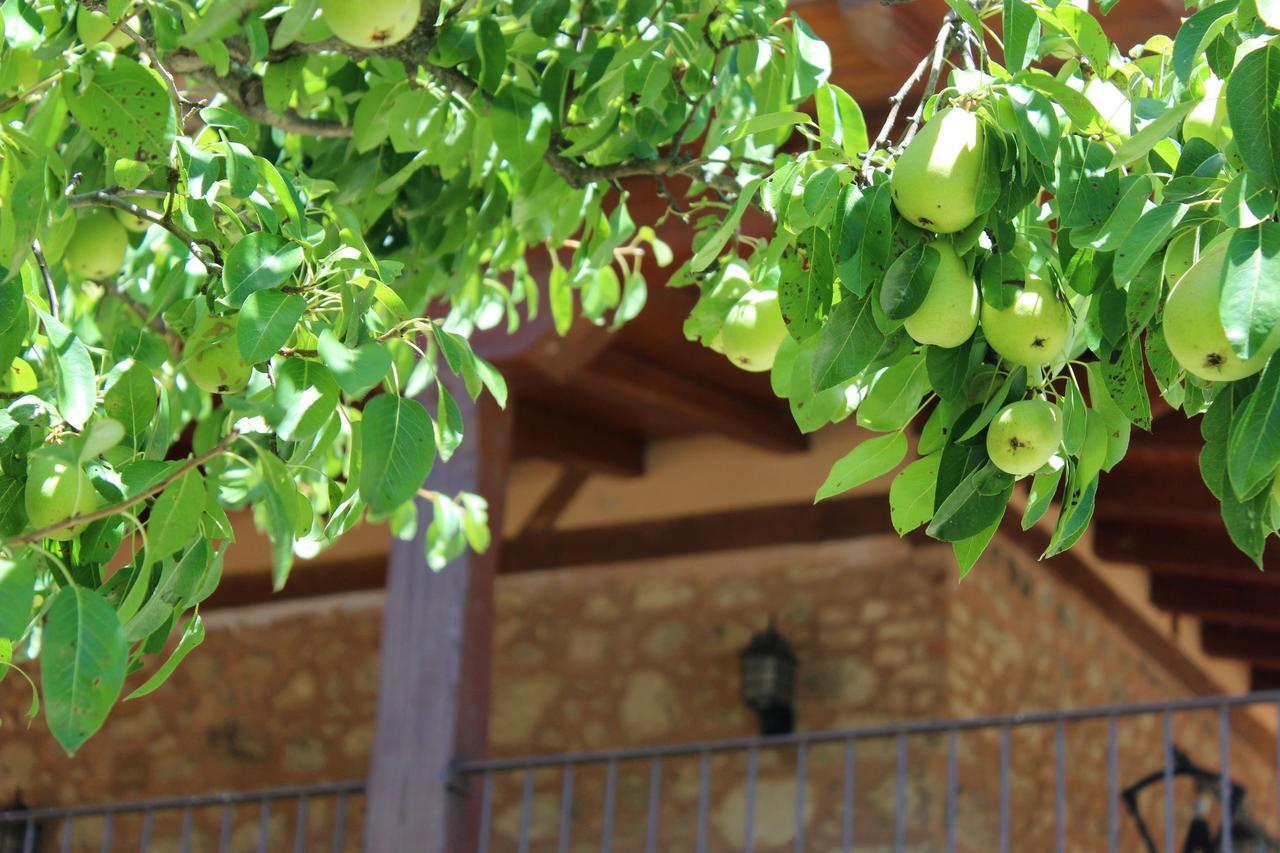 Гостьовий будинок Complejo Rural La Coronilla Харанділья-де-ла-Вера Екстер'єр фото